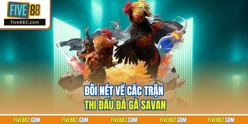 Đôi nét về các trận thi đấu đá gà Savan
