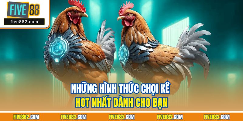 Những hình thức chọi kê hot nhất dành cho bạn