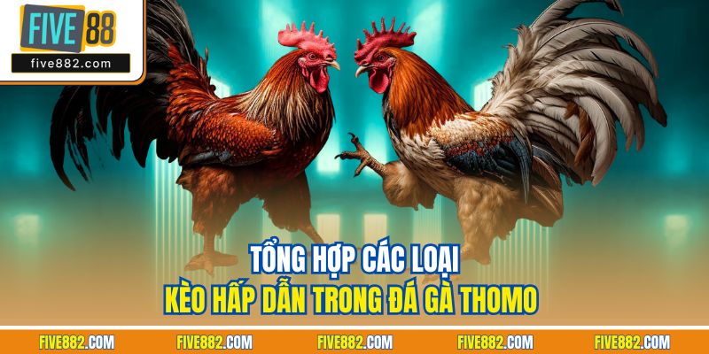 Tổng hợp các loại kèo hấp dẫn trong đá gà Thomo